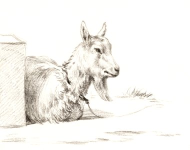 Goat half lying in a pen (1810) by Jean Bernard (1775-1883).. Free illustration for personal and commercial use.