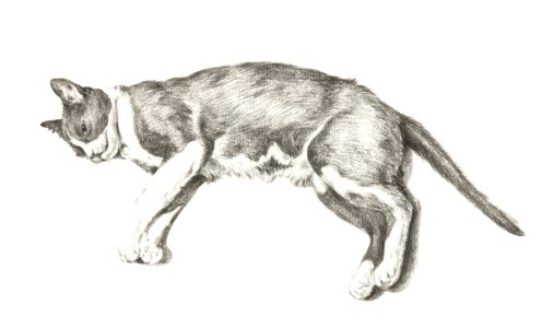 Sketch of a lying cat by Jean Bernard (1775-1883).. Free illustration for personal and commercial use.