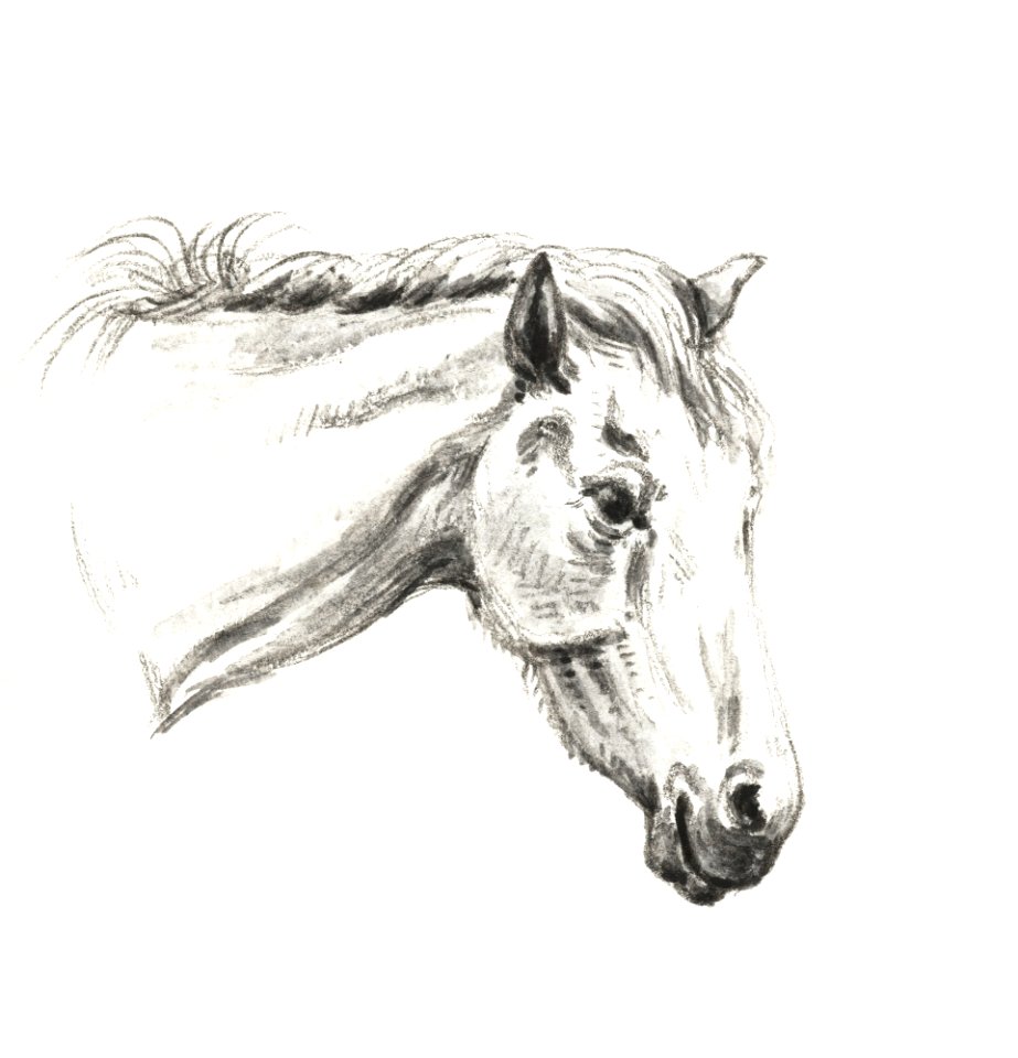 Head of a horse (1819) by Jean Bernard (1775-1883).. Free illustration for personal and commercial use.