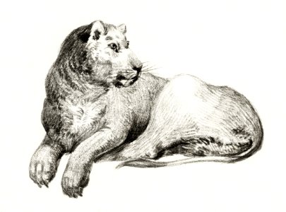 Lying lion by Jean Bernard (1775-1883).