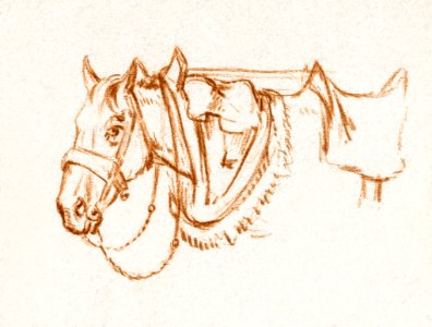 Head of a rigged horse by Jean Bernard (1775-1883).. Free illustration for personal and commercial use.