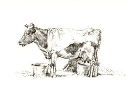 Standing cow, with milk bucket and milk stool (1823) by Jean Bernard (1775-1883).. Free illustration for personal and commercial use.