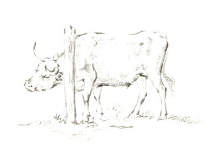 Standing cow, with its head between poles by Jean Bernard (1775-1883).. Free illustration for personal and commercial use.
