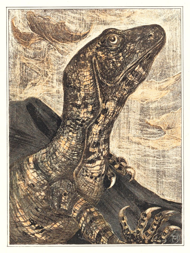 Leguaan (1878–1906) print in high resolution by Theo van Hoytema.