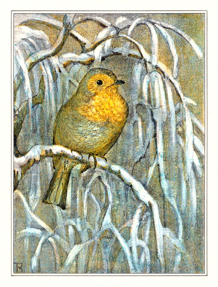 Roodborstje op besneeuwde boomtak (1878–1910) print in high resolution by Theo van Hoytema.