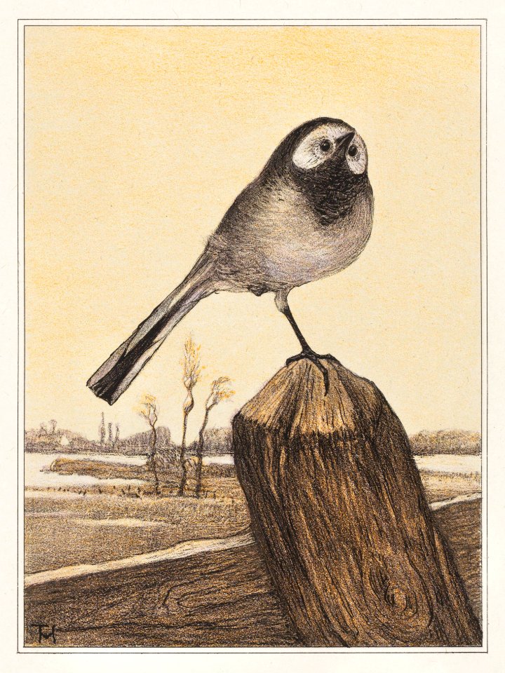 Kwikstaart op paal (1878–1910) print in high resolution by Theo van Hoytema.