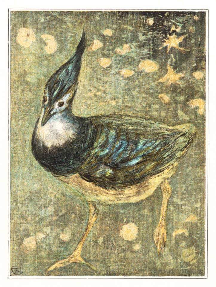 Kievit (1878–1908) print in high resolution by Theo van Hoytema.