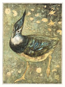 Kievit (1878–1908) print in high resolution by Theo van Hoytema.