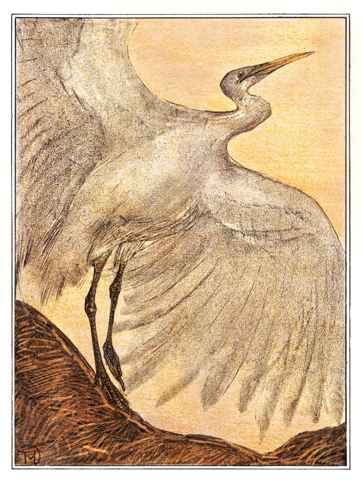 Zilverreiger (1878–1905) print in high resolution by Theo van Hoytema.