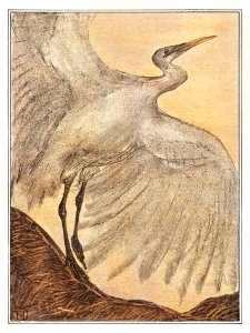 Zilverreiger (1878–1905) print in high resolution by Theo van Hoytema.