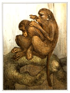 Vlooiende apen (1878–1910) print in high resolution by Theo van Hoytema.