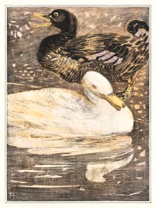 Twee eenden (1878–1907) print in high resolution by Theo van Hoytema.. Free illustration for personal and commercial use.