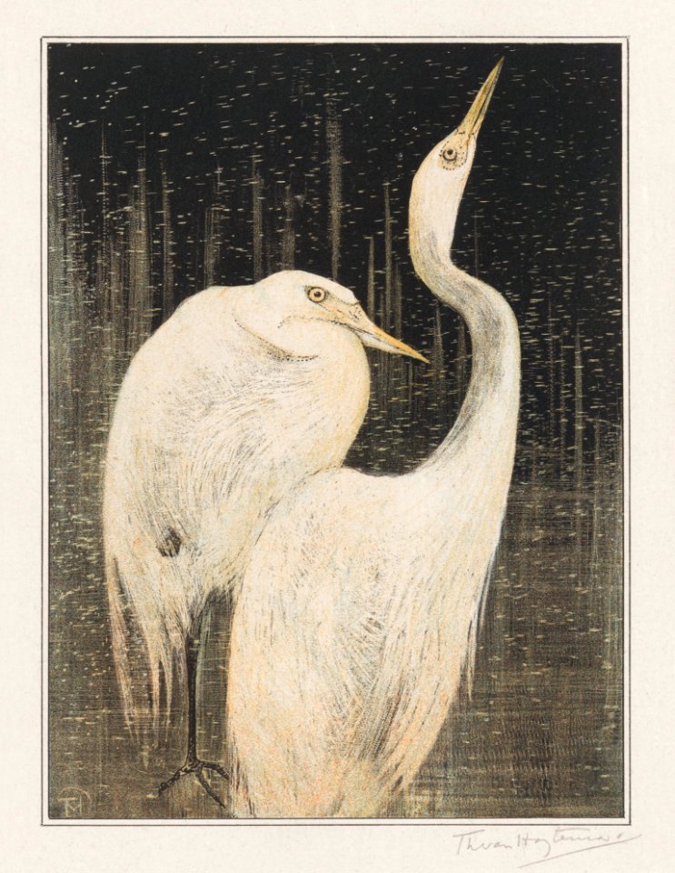 Twee zilverreigers (1878–1905) print in high resolution by Theo van Hoytema.