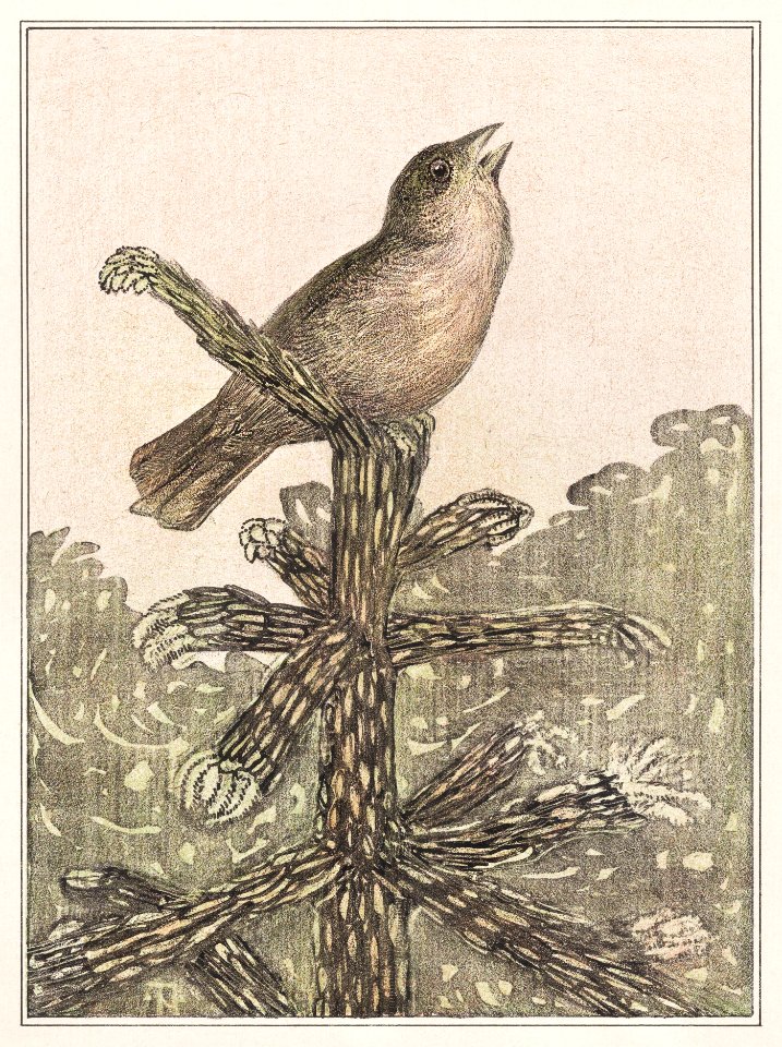 Zingende vogel op naaldboom (1878–1906) print in high resolution by Theo van Hoytema.