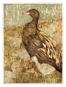 Eend met kuikens bij waterkant (1878–1909) print in high resolution by Theo van Hoytema.