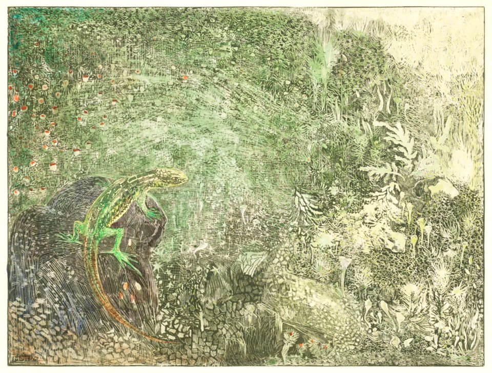 Hagedis op een steen (1878–1917) print in high resolution by Theo van Hoytema.