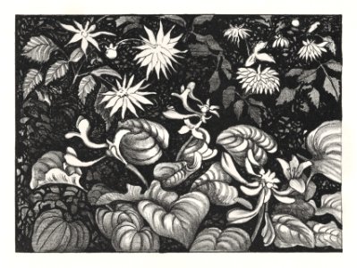 Wilde planten en bloemen (1878–1917) print in high resolution by Theo van Hoytema.. Free illustration for personal and commercial use.