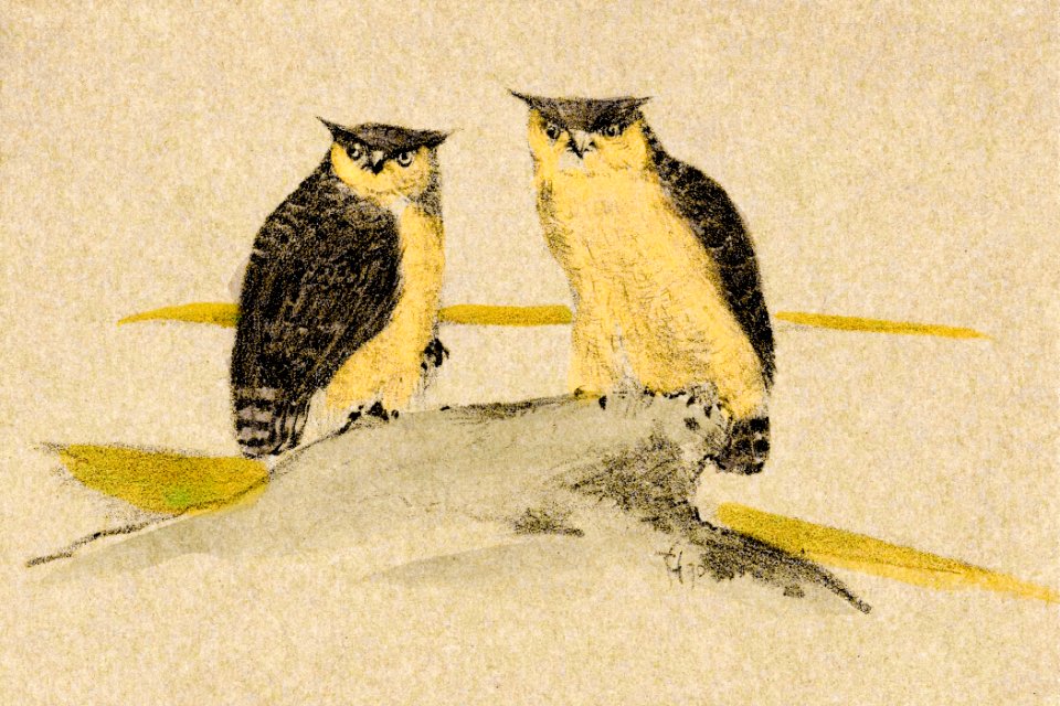 Wenskaart met twee uilen (1890) print in high resolution by Theo van Hoytema.