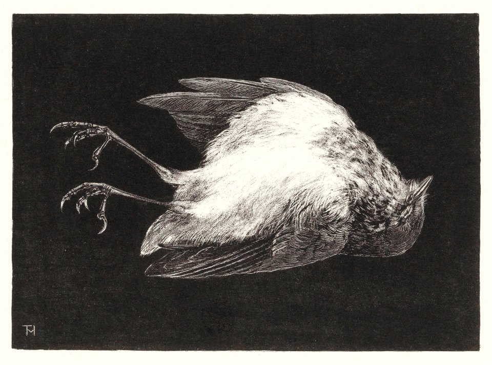 Dood roodborstje (1895) print in high resolution by Theo van Hoytema.
