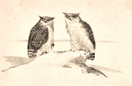 Wenskaart met twee uilen (1890) print in high resolution by Theo van Hoytema.. Free illustration for personal and commercial use.