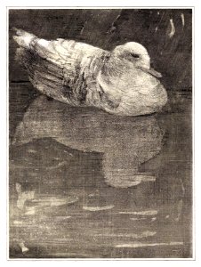 Drijvende eend (1878–1909) print in high resolution by Theo van Hoytema.