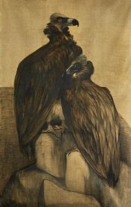 Two Arabian Vultures (1885–1917) print in high resolution by Theo van Hoytema.. Free illustration for personal and commercial use.