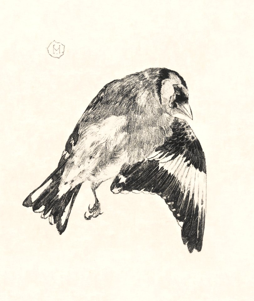 Dood puttertje (1878–1917) print in high resolution by Theo van Hoytema.
