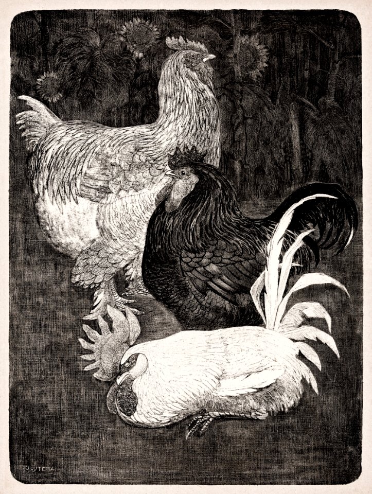 Drie hanen (1898) print in high resolution by Theo van Hoytema.