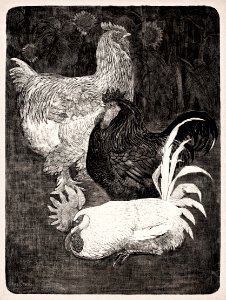 Drie hanen (1898) print in high resolution by Theo van Hoytema.