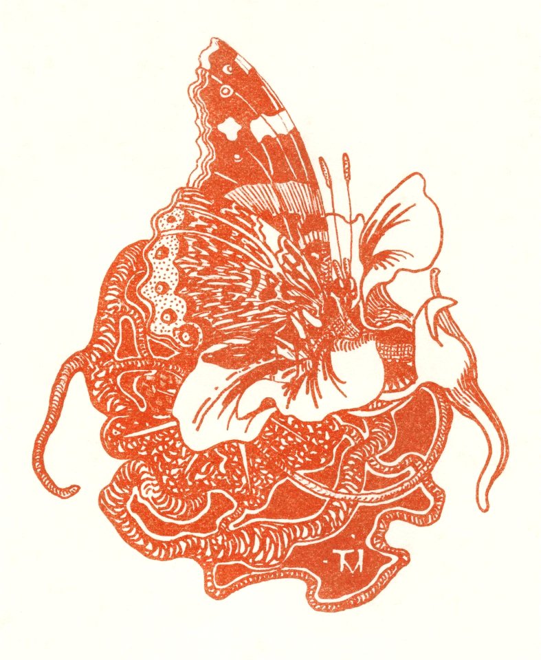 Vlinder op een Oost-Indische kersbloem (1896) print in high resolution by Theo van Hoytema.