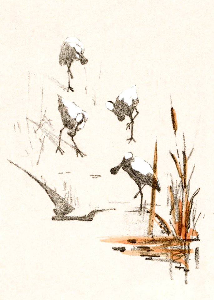Wenskaart met vier lepelaars (c.1878–c.1917) print in high resolution by Theo van Hoytema.