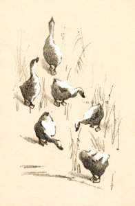Wenskaart met zes ganzen (1878–1917) print in high resolution by Theo van Hoytema.