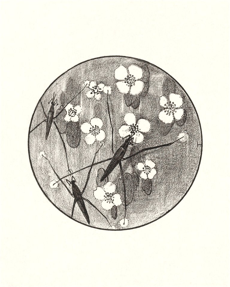 Aankondiging met insecten en bloemen voor serie 'Dierstudies' (1878–1898) print in high resolution by Theo van Hoytema.