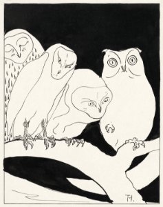 Uilen op een tak (1873–1917) print in high resolution by Theo van Hoytema.