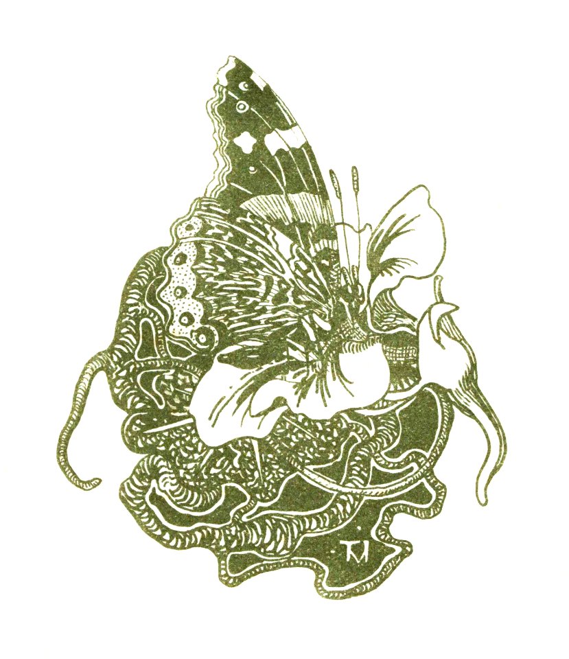 Vlinder op een Oost-Indische kersbloem (1896) print in high resolution by Theo van Hoytema.