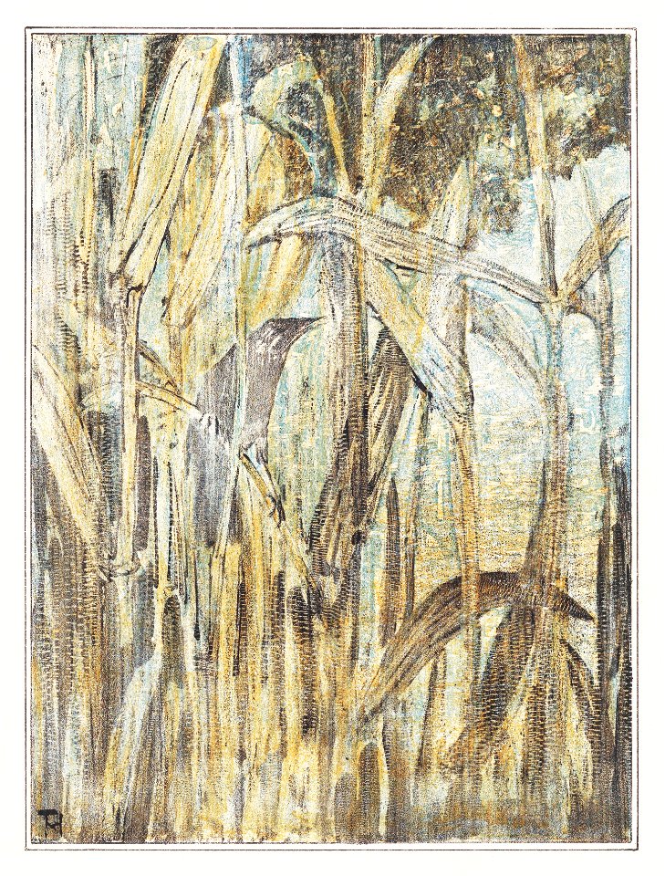 Vogel in het riet (1878–1907) print in high resolution by Theo van Hoytema.
