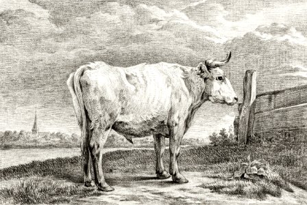 Standing bull (1817) by Jean Bernard (1775-1883).. Free illustration for personal and commercial use.
