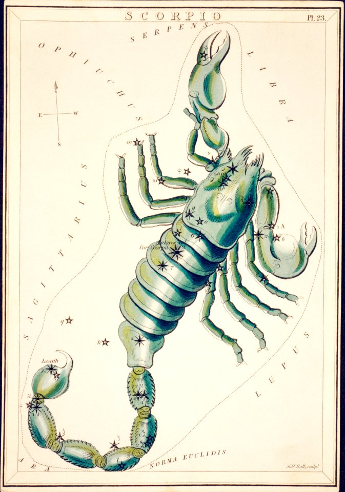 Sidney Hall’s (?-1831) astronomical chart illustration of the Scorpio.
