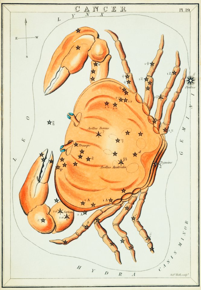 Sidney Hall’s (?-1831) astronomical chart illustration of the cancer zodiac. A crab forming a constellation.