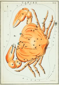Sidney Hall’s (?-1831) astronomical chart illustration of the cancer zodiac. A crab forming a constellation.. Free illustration for personal and commercial use.