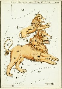 Sidney Hall’s (1831) astronomical chart illustration of the Leo Major and the Leo Minor.. Free illustration for personal and commercial use.
