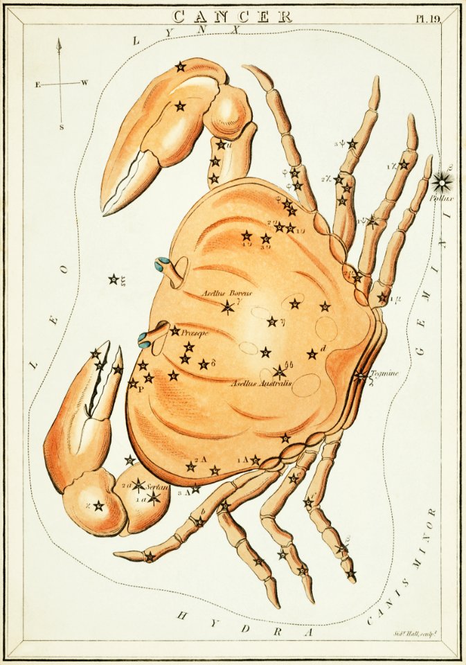 Sidney Hall’s (1831) astronomical chart illustration of the zodiac Cancer.