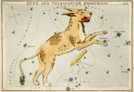 Sidney Hall’s (1831) astronomical chart illustration of Lynx and the Telescopium Herschilii.. Free illustration for personal and commercial use.