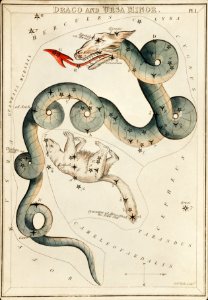 Sidney Hall’s (1831) astronomical chart illustration of the Draco and the Ursa Minor.. Free illustration for personal and commercial use.