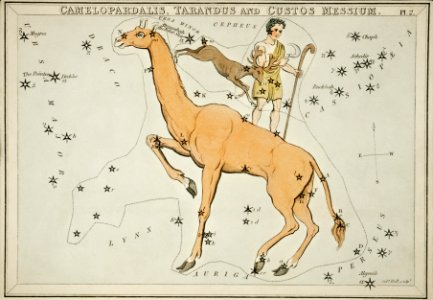 Sidney Hall’s (1831) astronomical chart illustration of the Camelopardalis, Tarandus and the Custos Messium.. Free illustration for personal and commercial use.