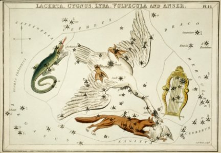 Sidney Hall’s (1831) astronomical chart illustration of the Lacerta, Cygnus, Lyra, Vulpecula and the Anser.. Free illustration for personal and commercial use.