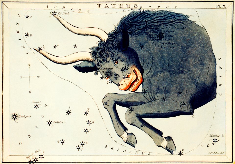 Sidney Hall’s (?-1831) astronomical chart illustration of the Taurus.