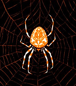 Spider in a web (1918) by Julie de Graag (1877-1924).
