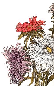 Chrysanthemums by Julie de Graag (1877-1924).. Free illustration for personal and commercial use.