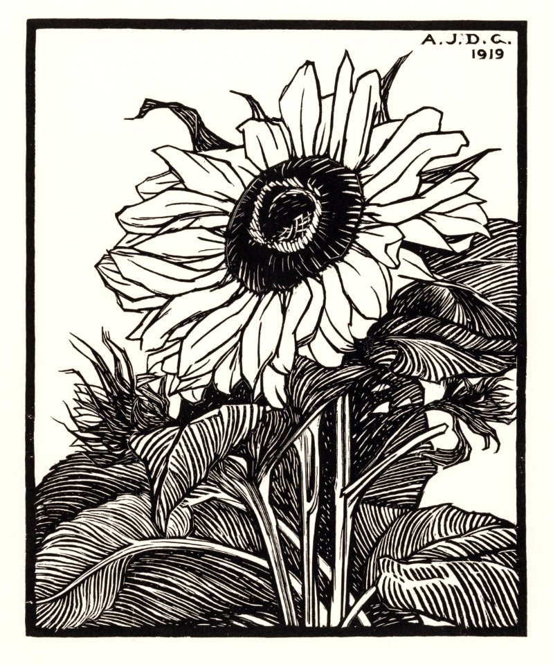Sunflower (1919) by Julie de Graag (1877-1924).